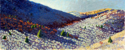Painting--Oil-LandscapeLong Colorado Hillside
