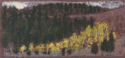 Drawing--Pastels-LandscapeAspen Arc