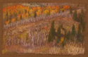 Drawing-Orange Aspens