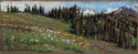 Drawing--Pastels-LandscapeCrow's Nest
