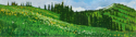 Painting--Oil-LandscapeCrow's Nest