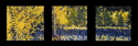 Painting--Oil-ImpressionismThree Trees Triptych