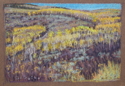 Drawing--Pastels-LandscapeYellow Aspen Curves