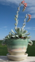Ceramics,Cynthia,Stoetzer,Guild,stoneware - Functional Ceramics