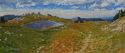 Painting--Oil-WesternThe Trail