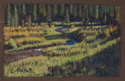 Drawing--Pastels-LandscapeMoose Creek