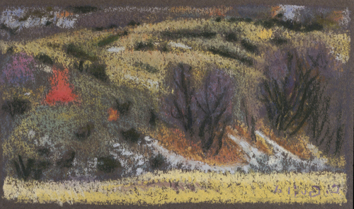 Drawing-First Storm