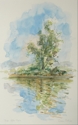 Tree%20After%20Rain (thumbnail)