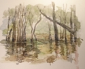 Flooded%20Island%2C%20High%20Water (thumbnail)