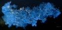 Meteor