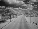 Danica Antich - looking south on Lake Shore Drive