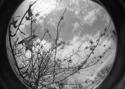photography - Abstract Photography