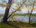 Spring%20in%20the%20Harbor (thumbnail)
