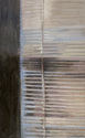 Blinds, 2007