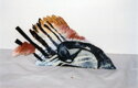 From the series Birds, 2003/2004