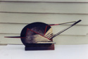 From the series Birds, 2004