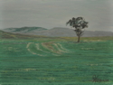 Painting--Oil-LandscapeHigh Country Solitaire