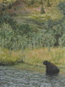 Painting--Oil-AnimalsThe Day (I saw the bear)