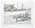 Print Making--Limited Edition-AnimalsKid's These Days