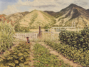 Print Making--Giclee-LandscapeMom's Garden (giclee)