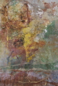 Observational Nature Observational%20Nature (thumbnail)