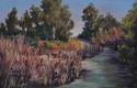 Boggy%20Creek (thumbnail)
