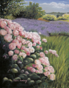 Lavender%20and%20Roses (thumbnail)
