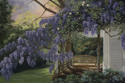 Wisteria (thumbnail)