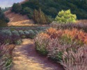 Garden%20Crescendo (thumbnail)