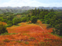 Sonoma%20Roan (thumbnail)