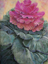 Cabbage%20Rose (thumbnail)