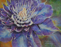 Clematis%20Opus (thumbnail)