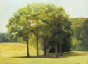 Old Westbury Gardens
