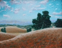 Painting--Oil-LandscapeCalifornia Poppies