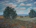 Painting--Oil-LandscapeOld Oaks