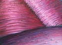 Painting--Oil-AbstractAbstract 23