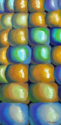 Indian%20Corn (thumbnail)