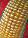 Addonis (thumbnail)