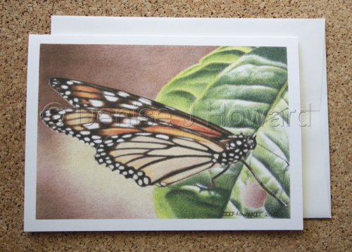 Note Cards