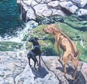 Painting--Acrylic-LandscapePiggle and Cash at the Falls