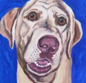 Painting--Acrylic-AnimalsBlarney