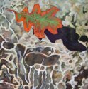 Painting--Acrylic-BotanicalLeaf Floating II