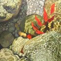 Denise Jaunsem - Rocks, Red Leaf, Reflections