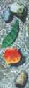 Painting--Acrylic-SeascapeRocks, Leaves, Reflections