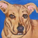 Painting--Oil-AnimalsLoki