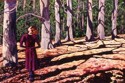 Painting-Cat in the Woods