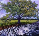 Painting--Oil-LandscapeShadow of the Oak