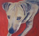 Painting--Acrylic-AnimalsCash