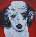 Painting--Acrylic-AnimalsMike