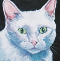 Painting--Acrylic-AnimalsWhite Kitty